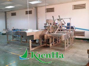 CARTON PACKING MACHINE 