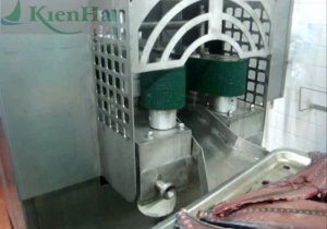 Fish Filleting Machine